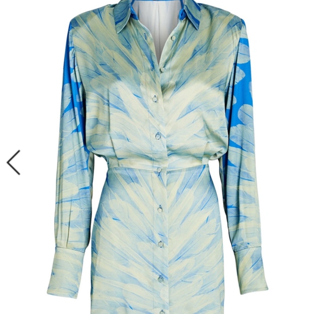 Alexis dress